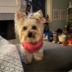 Meet your Posher, Jackie